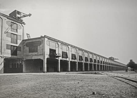 Fenix Art Museum
